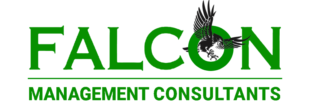 falconmanagementconsultants.com